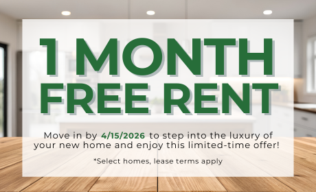 image for /shared/images/stephens-farm-popup-zfxd0f0b.png